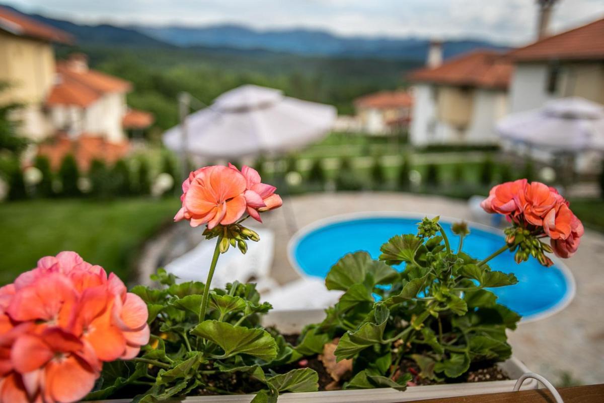 Vila Gardenia Gumoshtnik Exterior photo